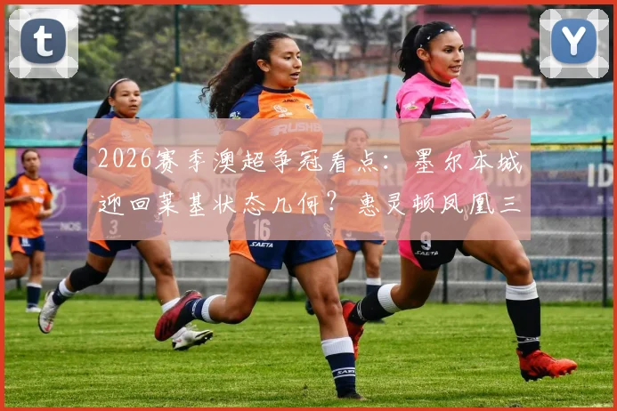 2026赛季澳超争冠看点：墨尔本城迎回莱基状态几何？惠灵顿凤凰三连胜成色分析